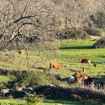 La Casona De Jaraiz Летний дом *