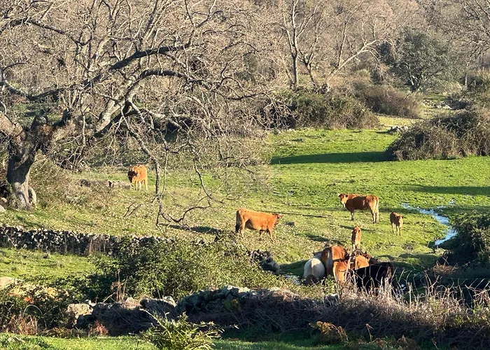 La Casona De Jaraiz Landsted *